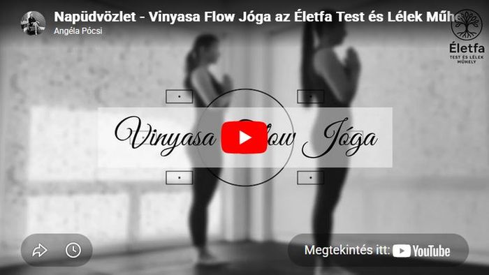 Vinyasa Flow jóga gyakorlás az Életfában Pócsi Angélával